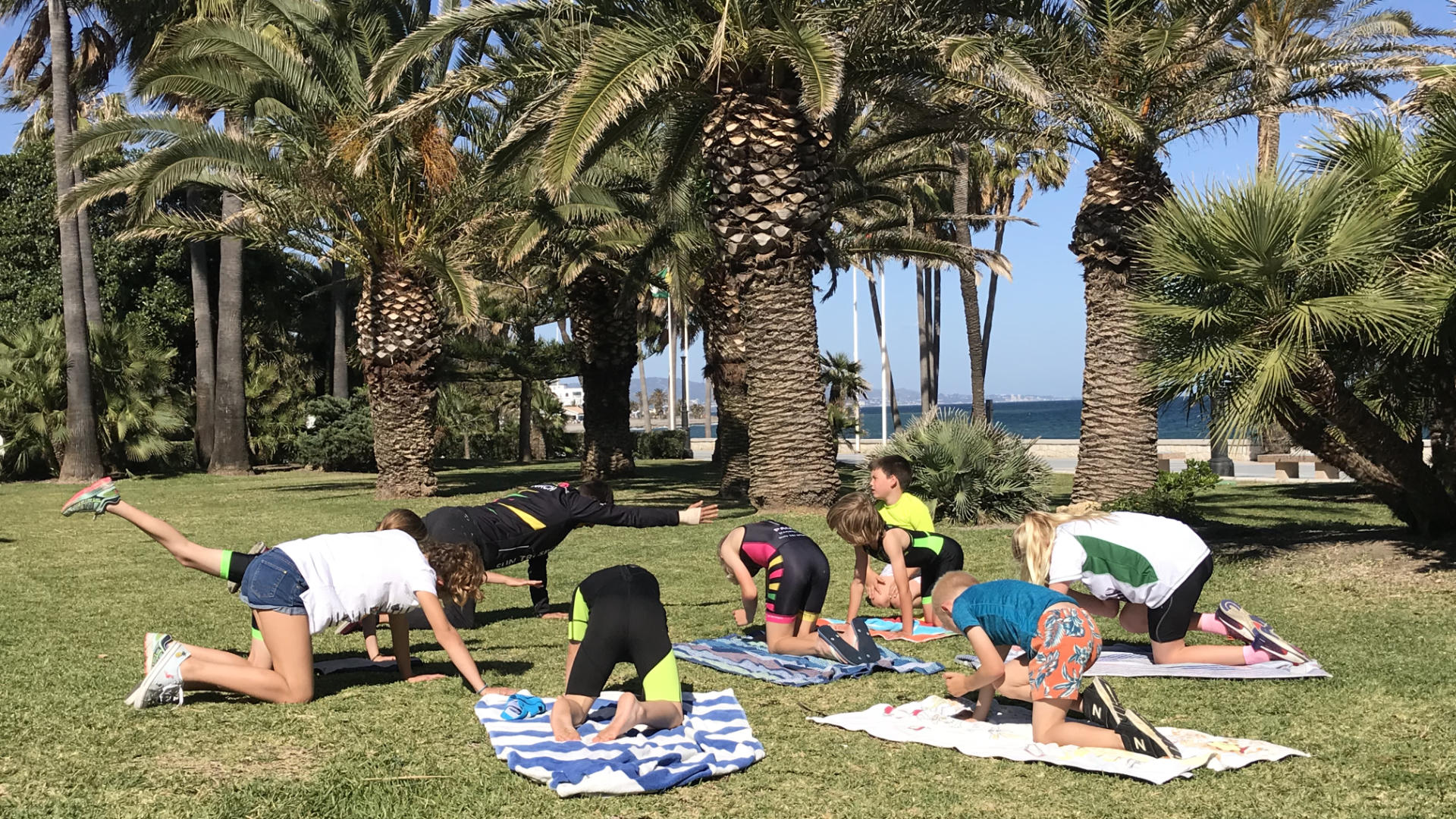 Triathlon kids doing functional training under some palm trees