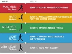 graph showing training heartrate zones