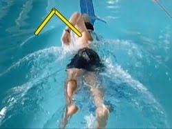Swim technique analysis